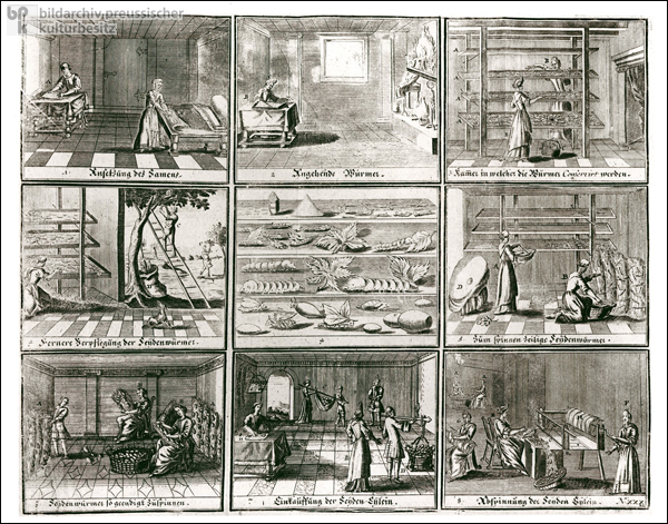 Seidenproduktion (1750)